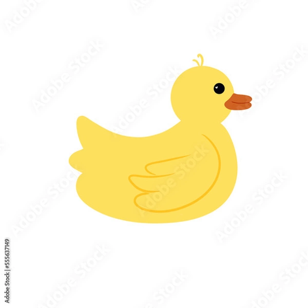 Fototapeta duck and ducklings