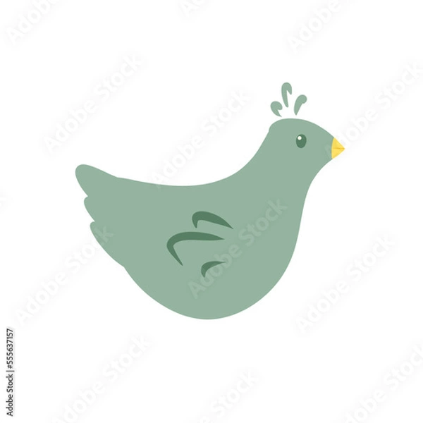 Fototapeta dove of peace