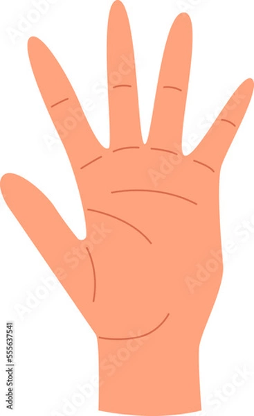 Obraz Hand flat icon Showing different fingers