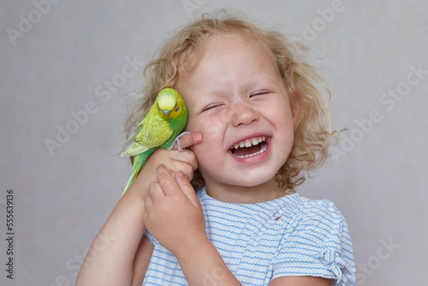 Obraz Laughing curly-hair child with budgierigar at home.