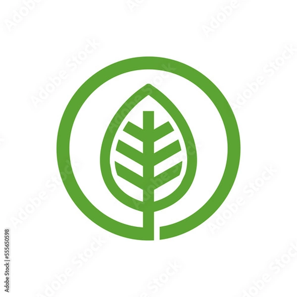 Obraz leaf logo vector design, abstract art plant