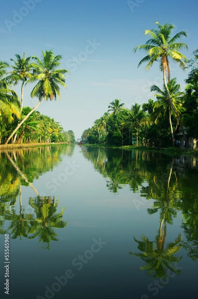 Obraz backwaters of Kerala, India