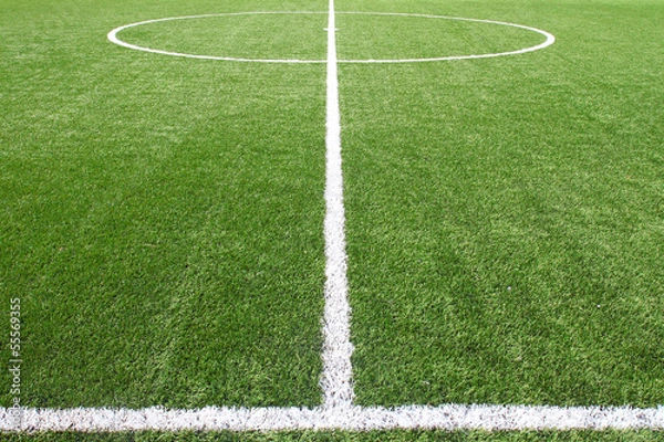 Obraz soccer field grass