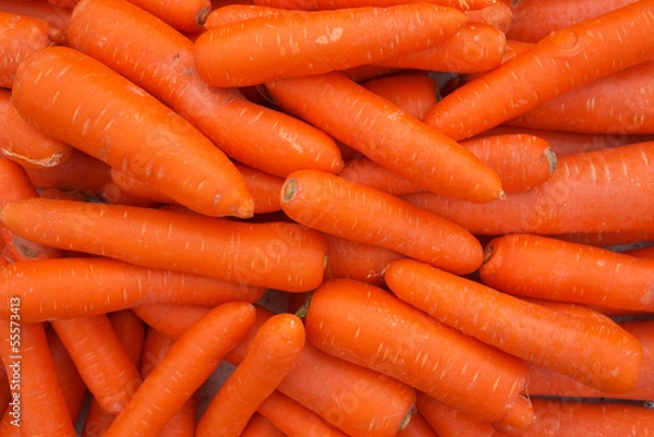 Obraz carrots