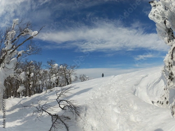 Fototapeta 日本の風景、自然が創り出す冬の景色