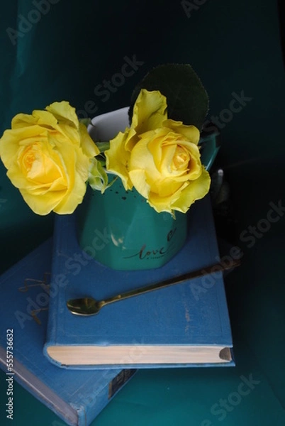 Obraz red rose on a book