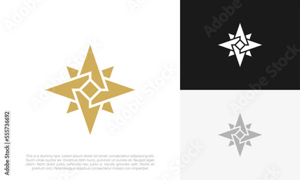 Obraz compass logo design vector