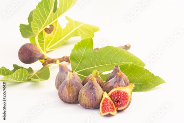 Obraz Natural Figs with tree white background