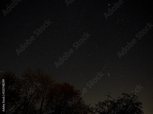 Fototapeta Night Sky with Orion and Gemini Constellations