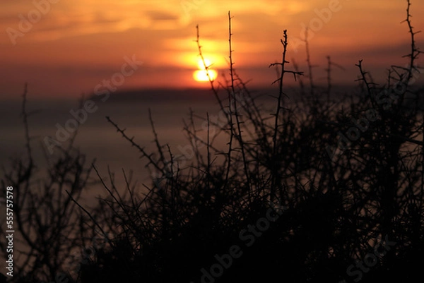 Obraz sunset over the river