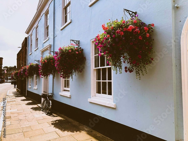 Obraz house with flowers