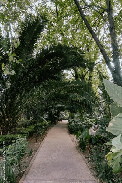 Obraz path in the garden