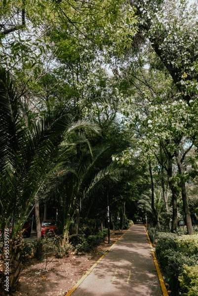 Obraz path in the park