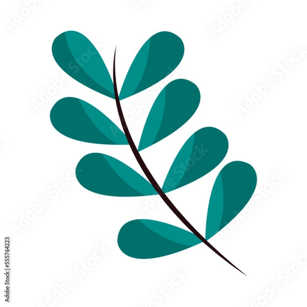 Obraz leaves foliage wild