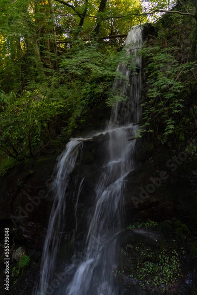 Fototapeta 湯河原　不動滝