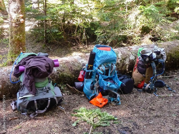 Fototapeta 3 Backpacks in a Row