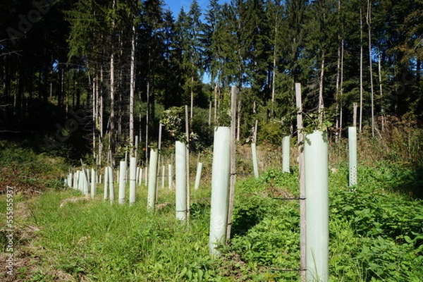 Fototapeta schädelberg 5