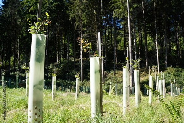 Fototapeta schädelberg 3