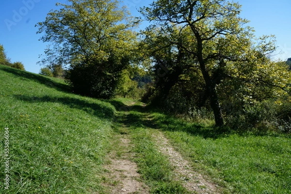 Fototapeta rührberg 1