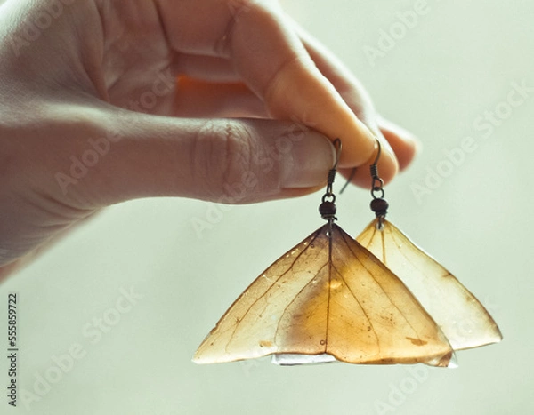 Fototapeta Close up woman showing butterfly shaped earrings concept photo. First view person photography with light green background. High quality picture for wallpaper, travel blog, magazine, article
