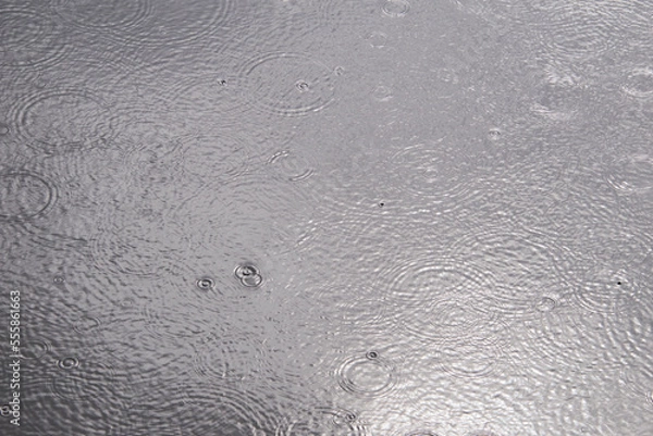 Fototapeta Rain drops on water surface, gray day.