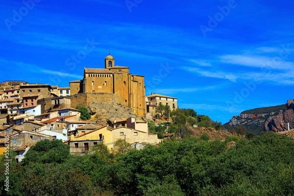 Obraz Bright sunny afternoon