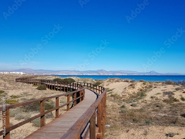 Fototapeta Walkway over the dunes towards the beach.