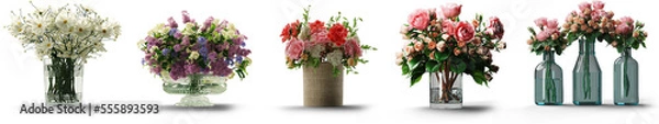Obraz Isolated Set of Flowers in Vases with transparent backround in PNG file