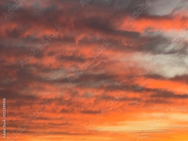 Obraz red sunset sky
sky 
red 
cloudy 