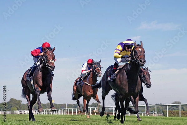 Obraz Galop