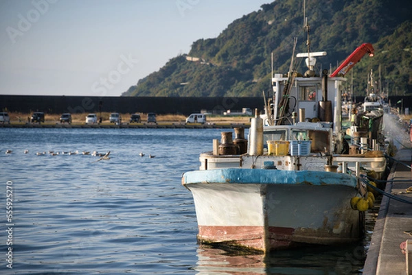 Obraz 漁港に停泊している漁船