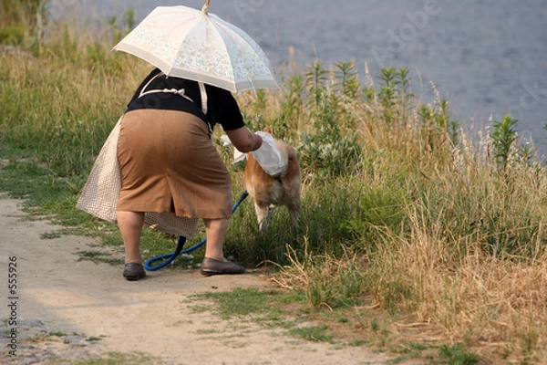 Obraz let me help you with this...