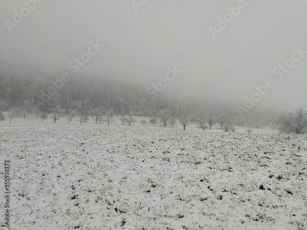 Fototapeta LöWi22 15