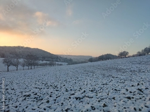 Fototapeta LöWi22 13