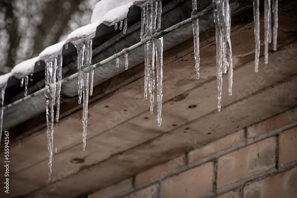 Obraz winter icicles haging from roof