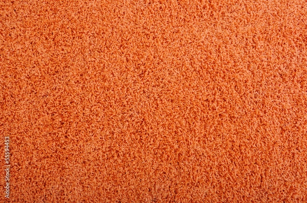 Obraz Shaggy carpet background