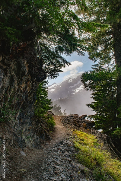 Fototapeta Path to nowhere