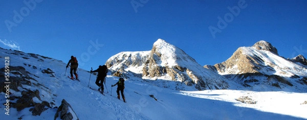 Obraz dans l'ombre du matin