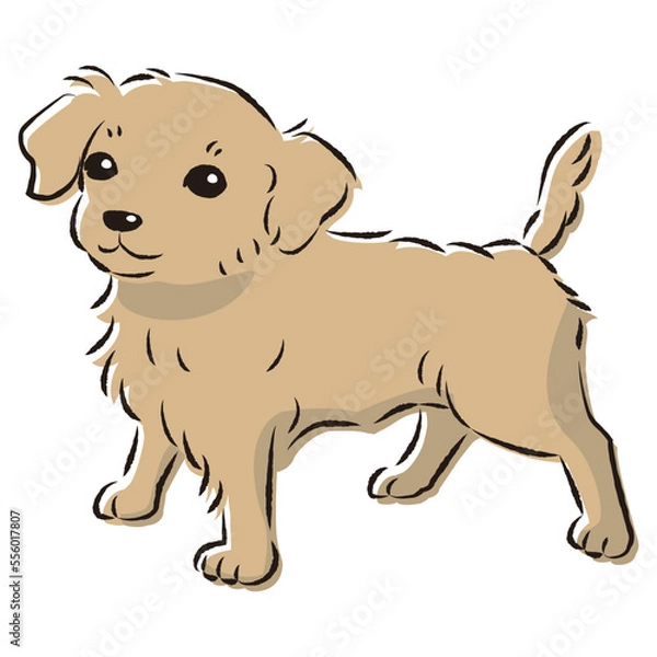 Fototapeta チワックスのイラスト（チワワとダックスフントのミックス犬）