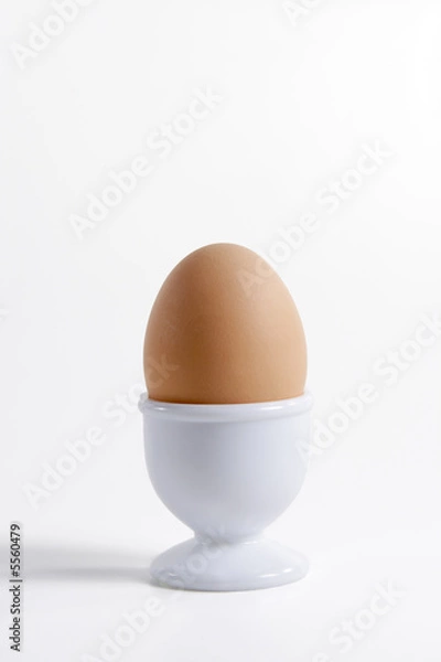 Fototapeta Brown egg in a cap on a white background