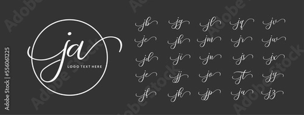 Fototapeta Calligraphy font with swirls. Cursive alphabet for logo design. Hand Written styles fonts, Hand written style lettering with alphabet