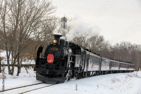 Obraz SL冬の湿原号（北海道）