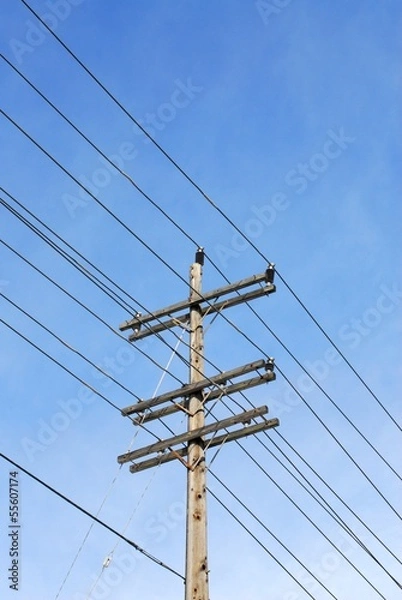 Obraz Wooden electrical pole