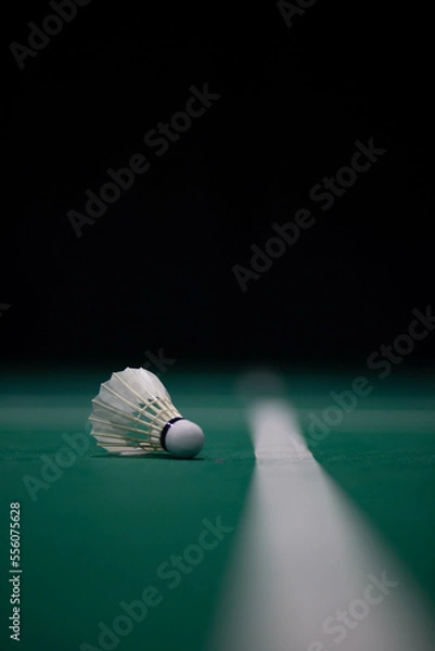 Fototapeta badminton shuttlecock on the ground in the playing field