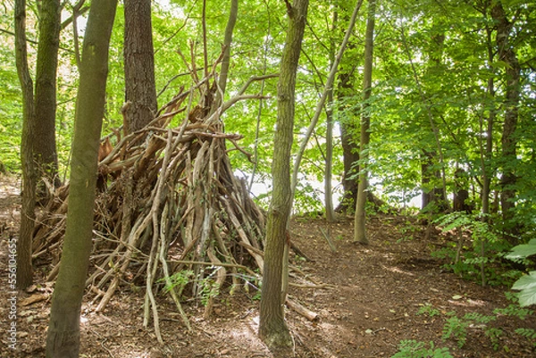 Fototapeta Hütte im Wald