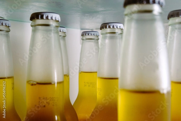 Obraz Cold beer bottles, closeup, cooling glass bottles with yellow alcohol liquid in the fridge before the party.