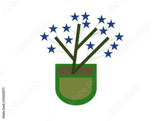 Obraz star shaped flower