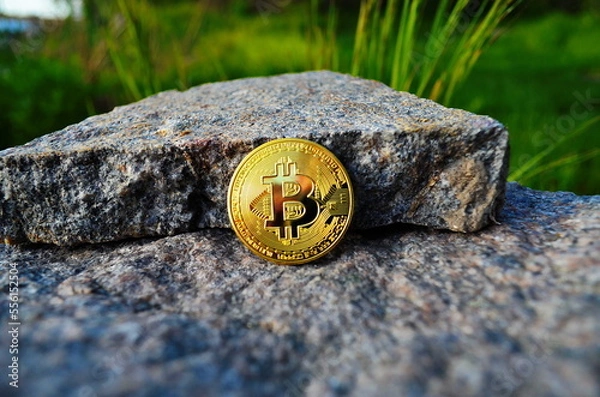 Obraz Coin on granite stone