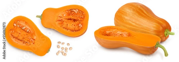 Fototapeta butternut squash half isolated on white background with full depth of field. Top view. Flat lay