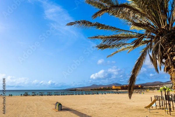 Obraz Sunny summer day on the city beach in the resort popular town of Caleta de Fuste, Fuerteventura, Canary Islands Spain